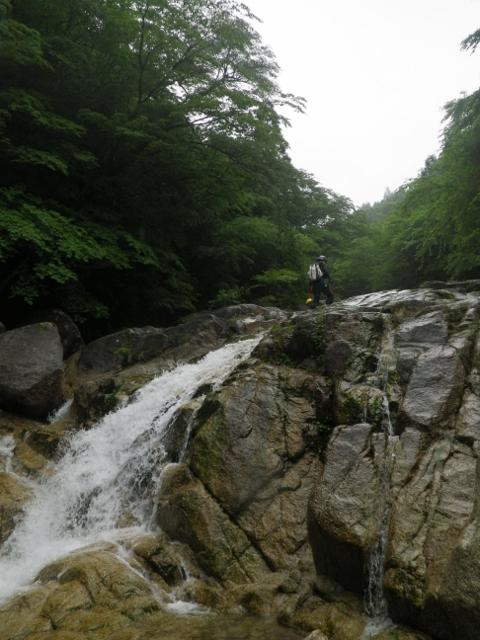 赤坂谷は手ごろなサイズの滝が多くおススメです。